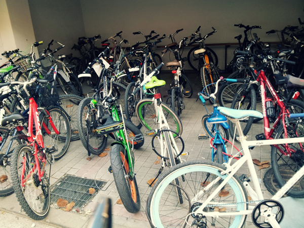 ▲ 성미산 학교 입구에 주차되어 있는 자전거들. 마땅한 자전거 주차장이 없다