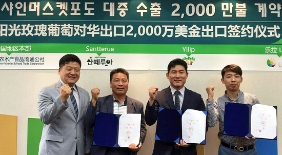 aT는 한국 샤인머스켓 포도가 중국업체와 2000만 달러의 계약을 성사했다고 밝혔다. <사진=한국농수산식품유통공사 제공>