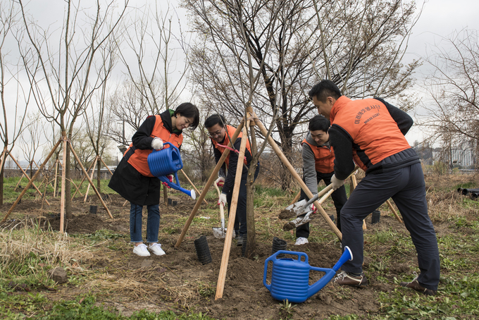 미래에셋생명은 12일 서울 용산구 이촌 한강공원에서 임직원 봉사단 50여 명이 참여한 가운데 미세먼지 저감과 도심 속 숲 조성을 위한 봉사활동 ‘한강에 숲을 선물합니다’를 진행했다 <사진=미래에셋생명 제공>