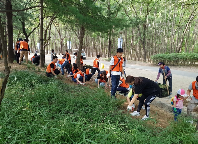 지난 28일 서울숲에서 호반사랑나눔이 단원들이 ‘서울숲 가꾸기’ 봉사활동을 진행했다. <사진=호반그룹 제공>