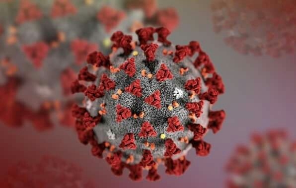 미국 질병통제예방센터CDC가 제작한 2019 신종 코로나바이러스 모형도<연합뉴스·로이터·영국총리실제공>