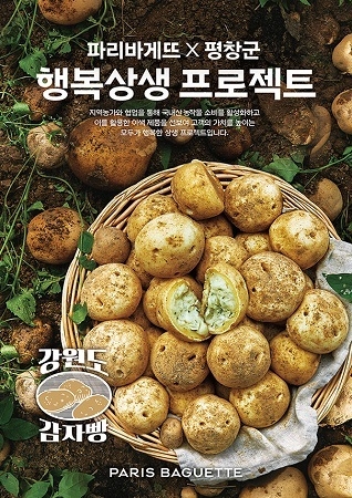 파리바게뜨가 우리 농가 돕기의 일환으로 강원도 감자를 활용한 '감자빵 제품 3종'을 출시한다. <사진=SPC그룹 제공>