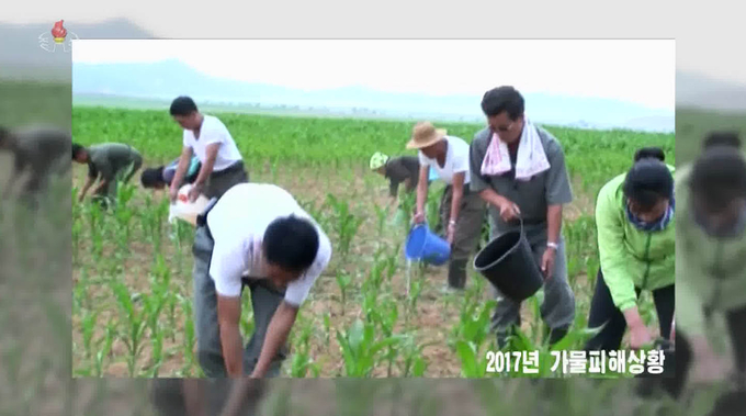 북한에서 지난 12일부터 폭염 현상이 이어지고 있다고 조선중앙TV가 16일 보도했다. 중앙TV는 2017년 여름의 혹심한 가뭄을 언급하며 폭염으로 농작물 생산에 차질이 빚어질까 우려했다. <사진=연합뉴스>