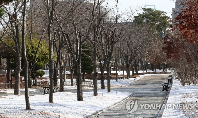지난달 30일 충남 홍성군 내포신도시에 첫눈이 내려 충남도청 인근에 눈이 쌓여 있다. 2022.11.30 