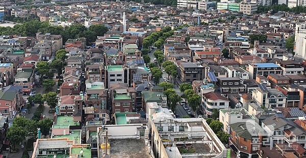 자료사진=정보영 기자