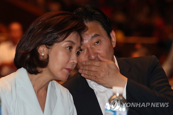 내년 총선을 앞두고 여당의 수도권위기론이 확산되면서 원희룡 장관과 나경원 전 의원의 등판을 요구하는 목소리가 커지고 있다 [사진=연합뉴스]