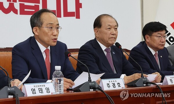 국민의힘 추경호 원내대표(왼쪽)가 20일 오전 국회에서 열린 비상대책위원회 회의에서 발언하고 있다. [사진=연합뉴스]