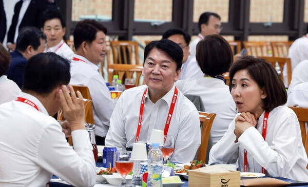 안철수 의원과 나경원 의원 [사진=연합뉴스]