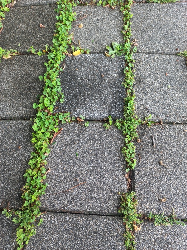 '산업혁명의 골짜기에서...' 정하룡 作