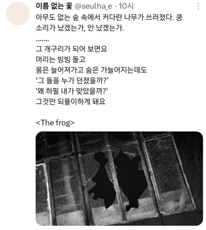 [출처=문다혜씨 X 갈무리]