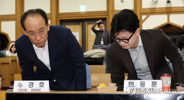 국민의힘 한동훈 대표(오른쪽)와 추경호 원내대표가 29일 오전 국회 의원회관에서 열린 '왜 AI와 반도체를 함께 이야기하는가?' 국민의힘 초선의원 공부모임에 참석하고 있다. 2024.10.29 [사진=연합뉴스]