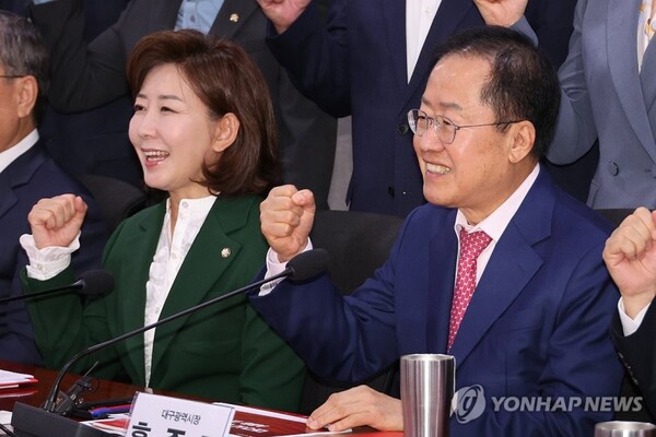 홍준표 대구시장과 나경원 의원 [사진=연합뉴스]