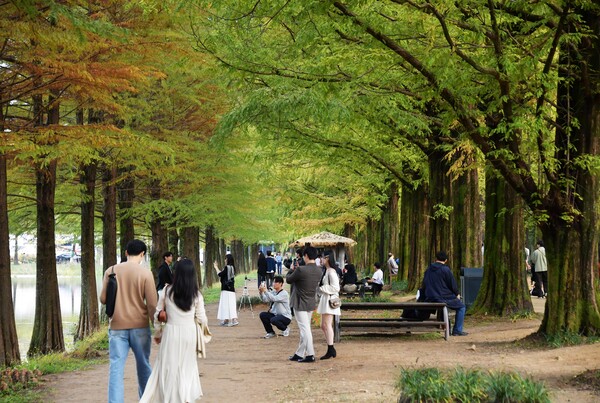 담양군 대표관광지, 여행예능 '지구마불남도여행'촬영 [사진제공 = 담양군]