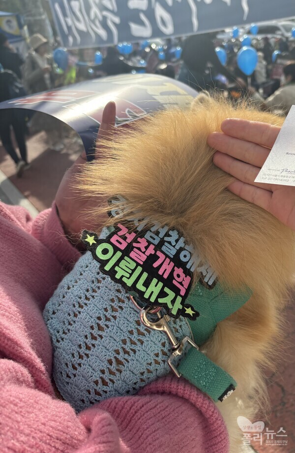 25일 서울 서초동 앞 ‘정치검찰해체 검찰개혁 이뤄내자’라고 적힌 목줄을 찬 애완견.[사진=안다인 기자]