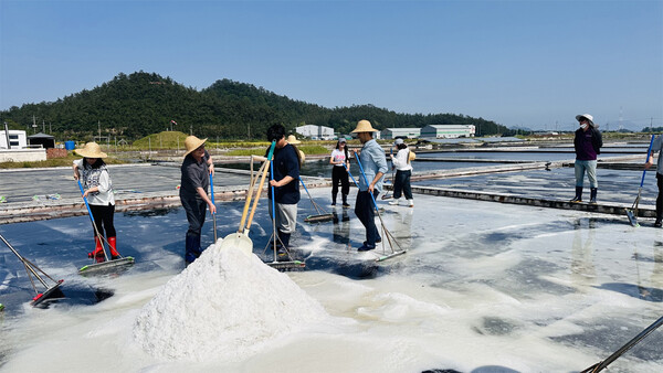 신안군 증도 태평염전