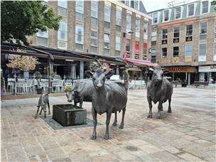 저지 젖소 품종의 원산지인 목축업의 상징물