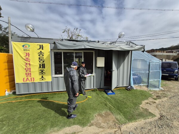 고병원성 조류인플루엔자(AI) 차단을 위해 풍세 밀집단지 인근에 통제초소를 설치·운영하고 있다./사진=천안시 제공