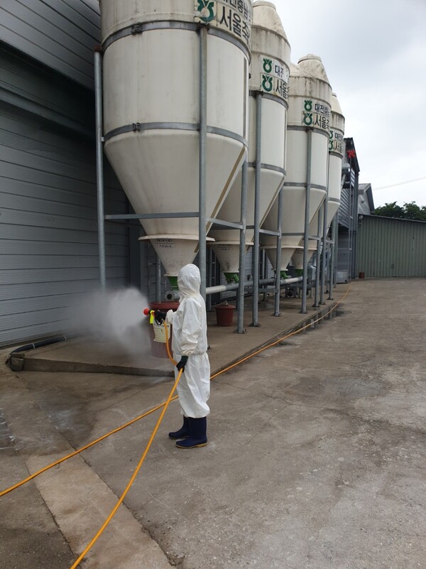 풍서천 일대에서 H5형 조류인플루엔자(AI) 항원이 확인된 가운데 시가 소독작업을 실시하고 있다./사진=시 제공 