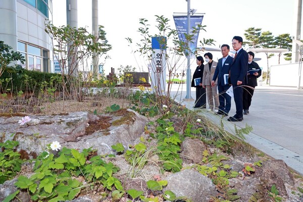 2025년 시청사 실외정원 조성사업(제공=사천시)