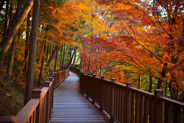 진주시, '진양호 노을길 준공 기념 걷기 행사'오는 24일 개최 (제공=진주시)