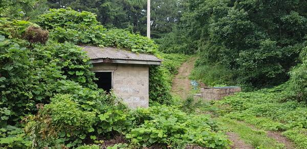 고하도 감화원터의 옛 건물과 우물 흔적