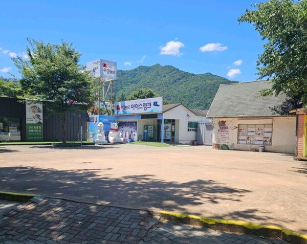 관련사진/사진=제보자 제공