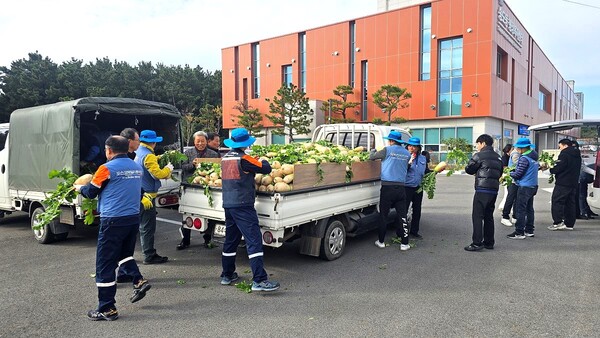 포항제철소 직원들이 트럭에 실린 무를 내리고 있다. / 사진=포스코