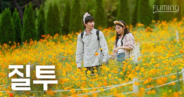 풀리밍 2편 / 사진=대구시 제공