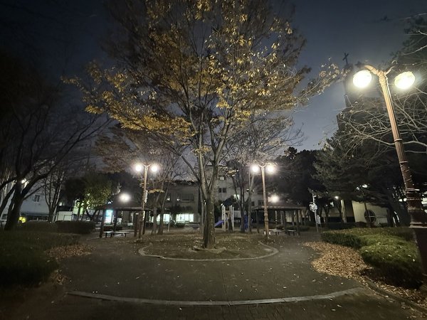 ▲ 순천시 공원 조명 (사진=순천시 제공)