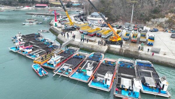 완도군 군외면 당인리의 물김 위판 현장 [사진제공 = 완도군]