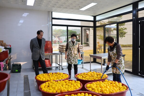 진도군여성단체협의회에서 유자청 나눔 봉사하기위해 세척을 하고있다.[사진제공 = 진도군]