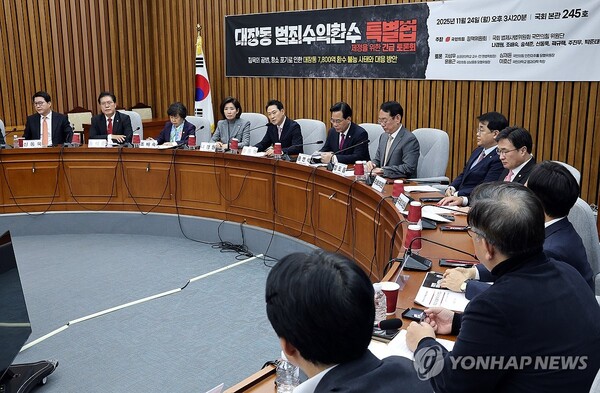 국민의힘 나경원 의원이 24일 국회에서 열린 대장동 범죄수익환수 특별법 제정을 위한 긴급 토론회에서 발언하고 있다. [사진=연합뉴스]