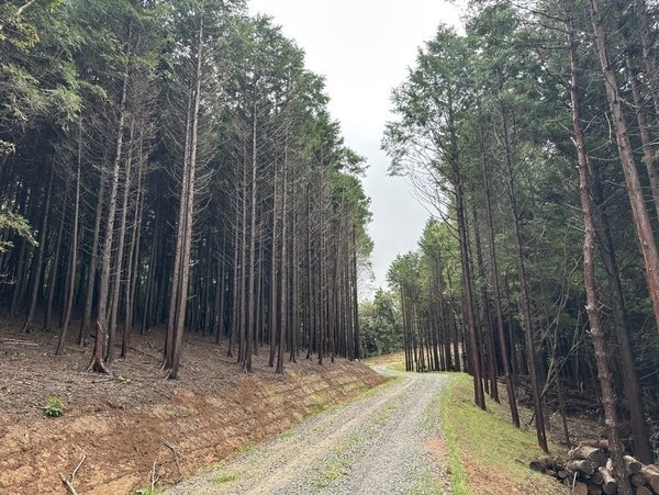 ▲ 순천시, 산림청 임도 우수사례 평가 '우수기관'선정 (사진=순천시 제공)
