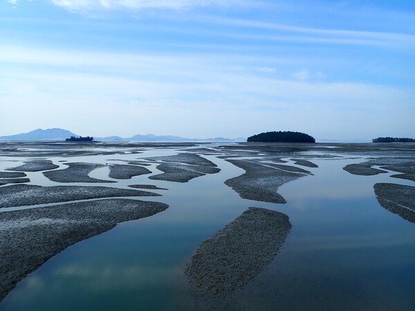 2019.06.02, 필자 촬영한 신안군 안좌면 갯벌 [사진=홍선기 교수]