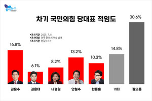 국힘 대표: 김문수 선두, 안철수 13.2%, 한동훈 10.3%