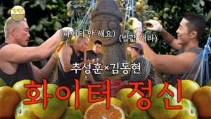 대표 이미지