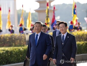 [이슈] 한중정상회담, '나비'로 연결된 평화·협력 <b>관계</b> 전면 복원…70조...