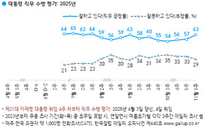 尹 지지율 63%로 6%p 상승, APEC 성과 영향