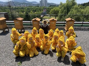현대엔지니어링, '꿀벌정원학교' 성료...친환경·취약계층 상생 결합 - 뉴스 썸네일 이미지